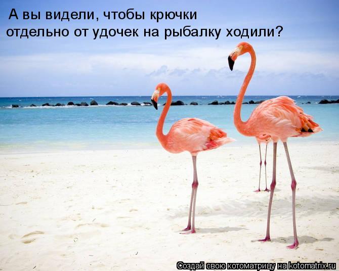 А вы видели, чтобы крючки отдельно от удочек на рыбалку ходили?... Котоматрица: А вы видели, чтобы крючки отдельно от удочек на рыбалку ходили?
