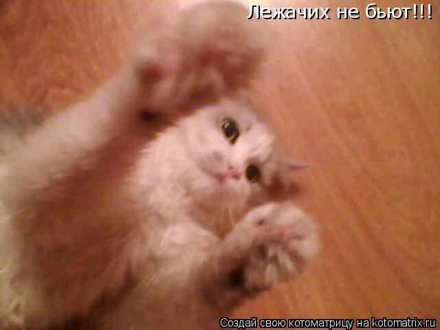Лежачих не бьют!!!... Котоматрица: Лежачих не бьют!!!