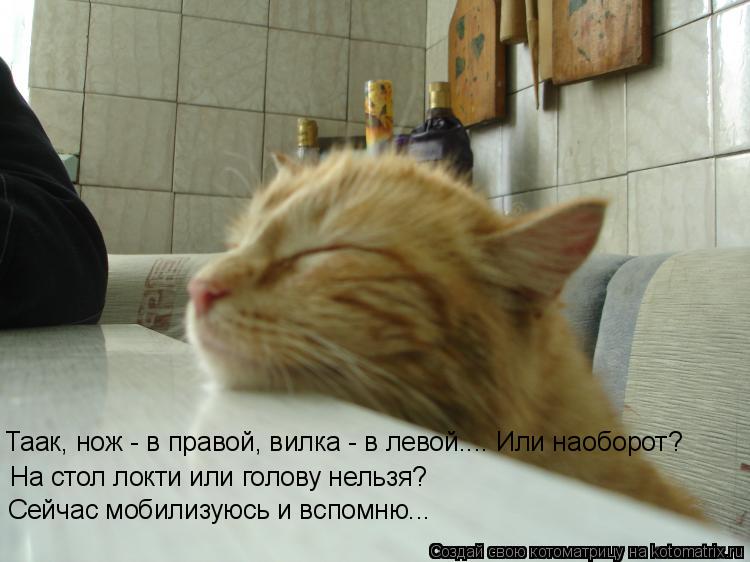 Таак, нож - в правой, вилка - в левой.... Или наоборот? На стол локти или голову нельзя? Сейчас мобил... Котоматрица: Таак, нож - в правой, вилка - в левой.... Или наоборот? На стол локти или голову нельзя? Сейчас мобилизуюсь и вспомню...