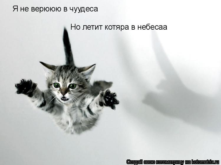 Я не верююю в чуудеса Но летит котяра в небесаа... Котоматрица: Я не верююю в чуудеса Но летит котяра в небесаа