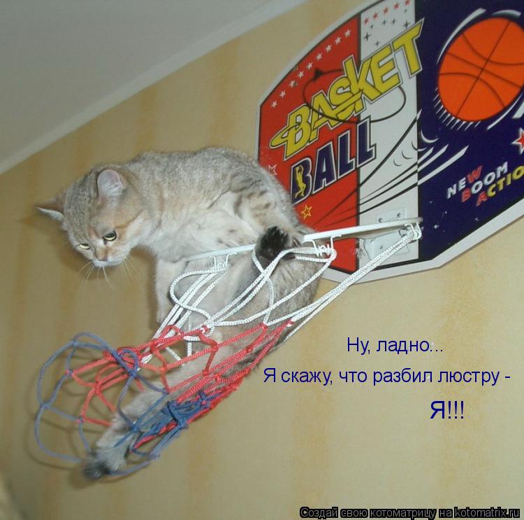 Котоматрица: Ну, ладно... Я скажу, что разбил люстру - Я!!!