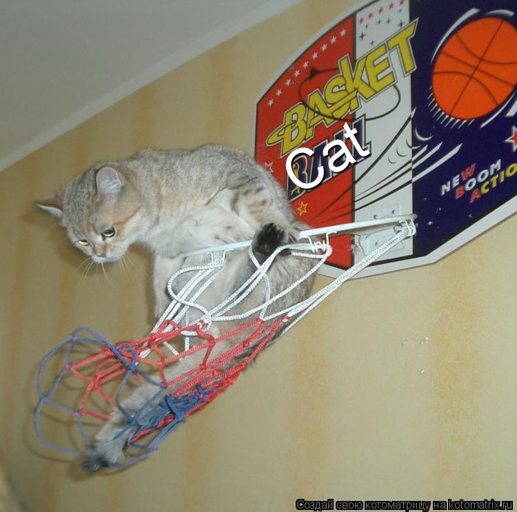 Котоматрица: Cat