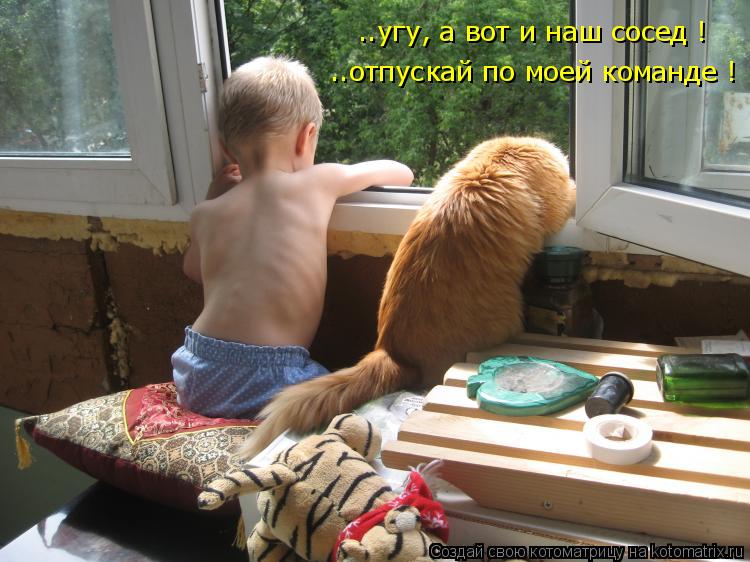 ..угу, а вот и наш сосед ! ..отпускай по моей команде !... Котоматрица: ..угу, а вот и наш сосед ! ..отпускай по моей команде !