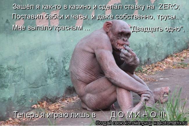 Зашёл я как-то в казино и сделал ставку на ZERO; Поставил бабки и часы, и даже собственно, трусы... ... Котоматрица: Зашёл я как-то в казино и сделал ставку на ZERO; Поставил бабки и часы, и даже собственно, трусы... Мне выпало красным ... "Двадцать одно", Теперь я