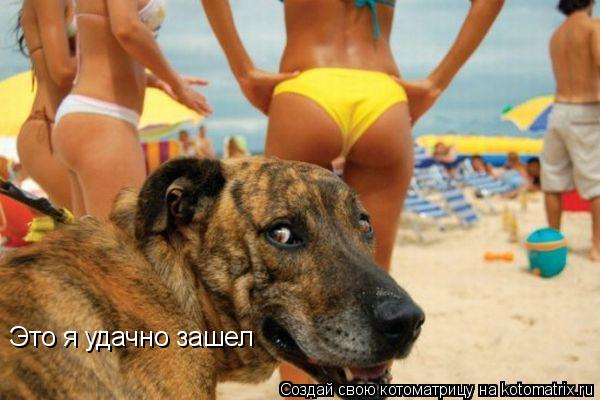 Это я удачно зашел... Котоматрица: Это я удачно зашел