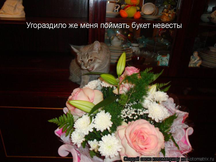 Угораздило же меня поймать букет невесты... Котоматрица: Угораздило же меня поймать букет невесты