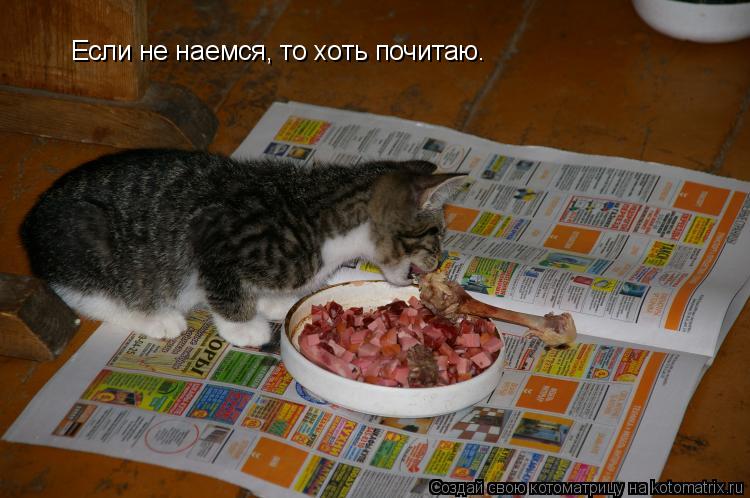 Если не наемся, то хоть почитаю.... Котоматрица: Если не наемся, то хоть почитаю.