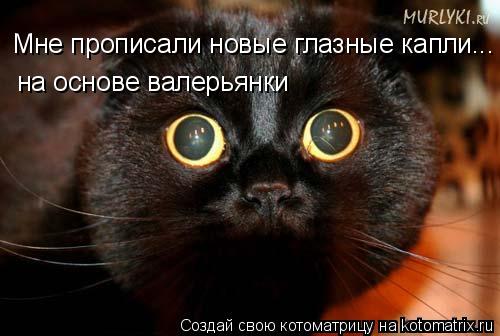 Мне прописали новые глазные капли... на основе валерьянки... Котоматрица: Мне прописали новые глазные капли... на основе валерьянки