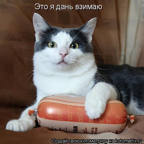 Это я дань взимаю... Котоматрица: Это я дань взимаю