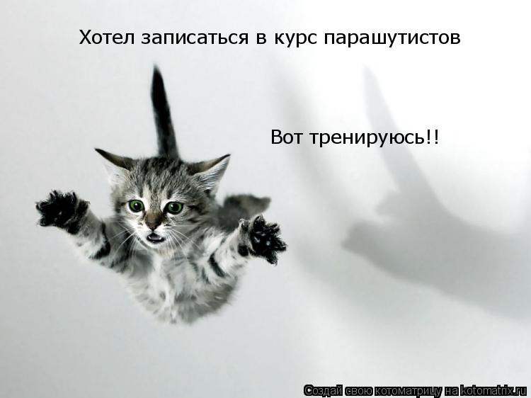 Хотел записаться в курс парашутистов Вот тренируюсь!!... Котоматрица: Хотел записаться в курс парашутистов Вот тренируюсь!!