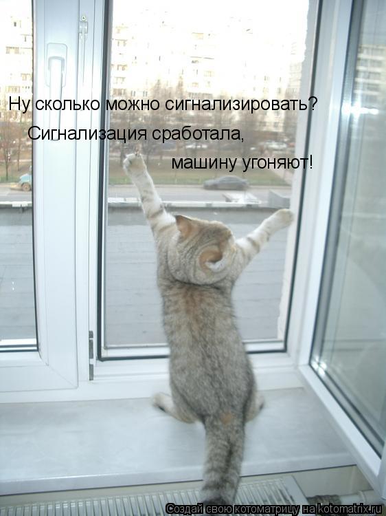Ну сколько можно сигнализировать? Сигнализация сработала, машину угоняют!... Котоматрица: Ну сколько можно сигнализировать? Сигнализация сработала, машину угоняют!