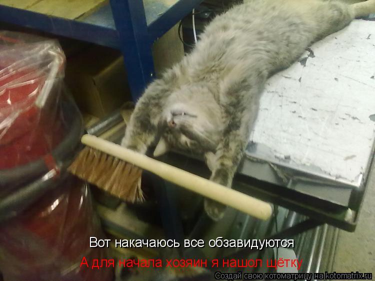 Вот накачаюсь все обзавидуются А для начала хозяин я нашол щётку... Котоматрица: Вот накачаюсь все обзавидуются А для начала хозяин я нашол щётку