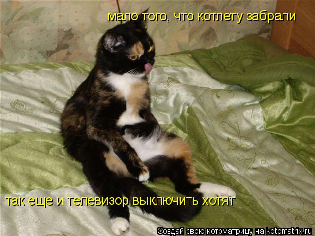 мало того, что котлету забрали так еще и телевизор выключить хотят... Котоматрица: мало того, что котлету забрали так еще и телевизор выключить хотят