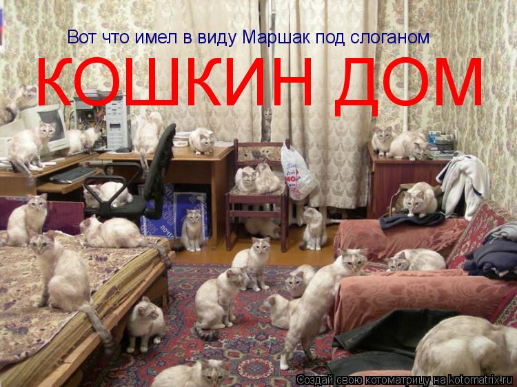 Вот что имел в виду Маршак под слоганом КОШКИН ДОМ... Котоматрица: Вот что имел в виду Маршак под слоганом КОШКИН ДОМ