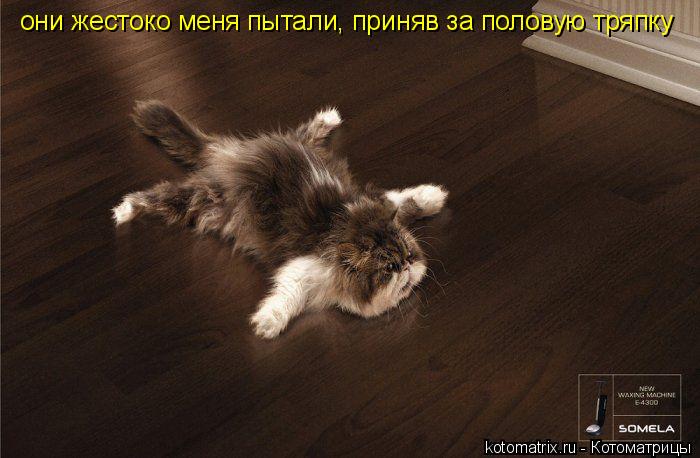 они жестоко меня пытали, приняв за половую тряпку... Котоматрица: они жестоко меня пытали, приняв за половую тряпку