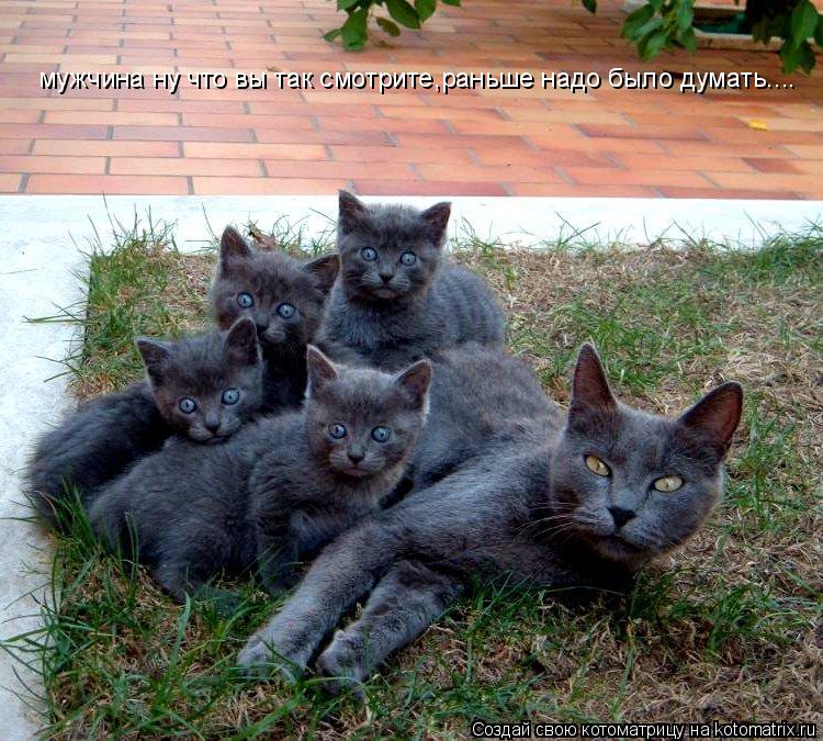 мужчина ну что вы так смотрите,раньше надо было думать....... Котоматрица: мужчина ну что вы так смотрите,раньше надо было думать....