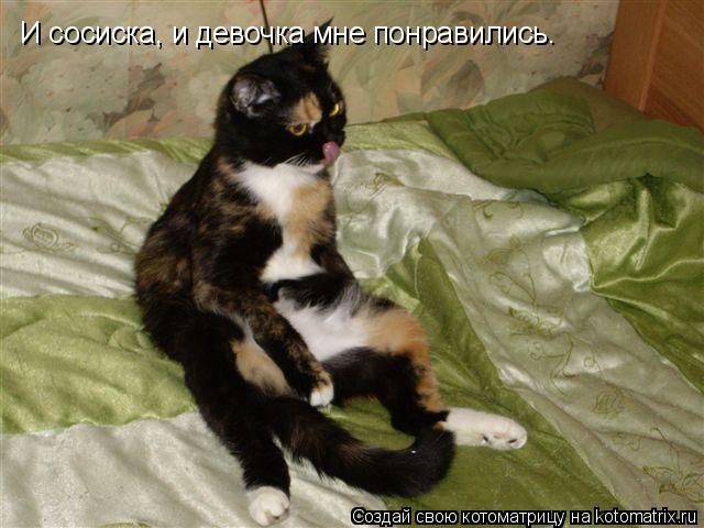И сосиска, и девочка мне понравились.... Котоматрица: И сосиска, и девочка мне понравились.