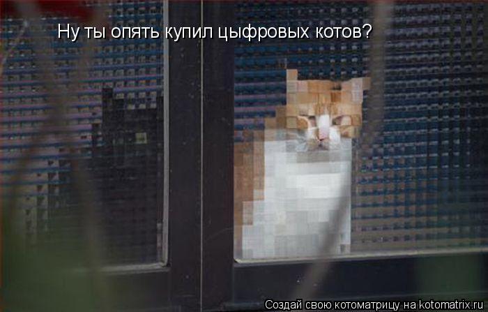 Ну ты опять купил цыфровых котов?... Котоматрица: Ну ты опять купил цыфровых котов?