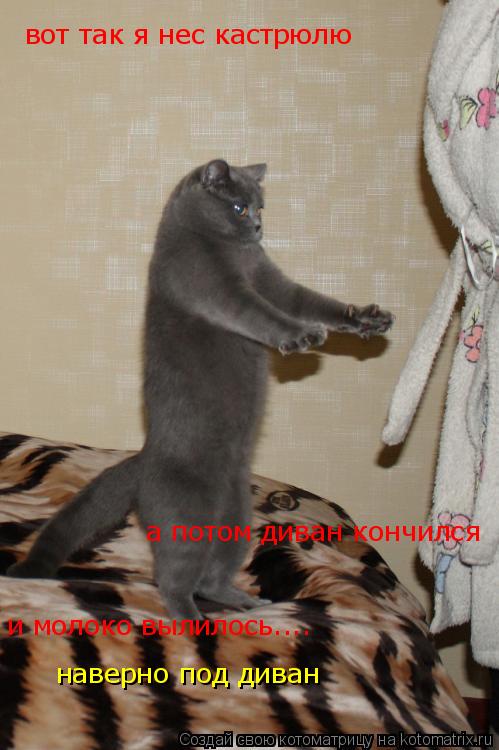 вот так я нес кастрюлю а потом диван кончился и молоко вылилось.... наверно под диван... Котоматрица: вот так я нес кастрюлю а потом диван кончился и молоко вылилось.... наверно под диван