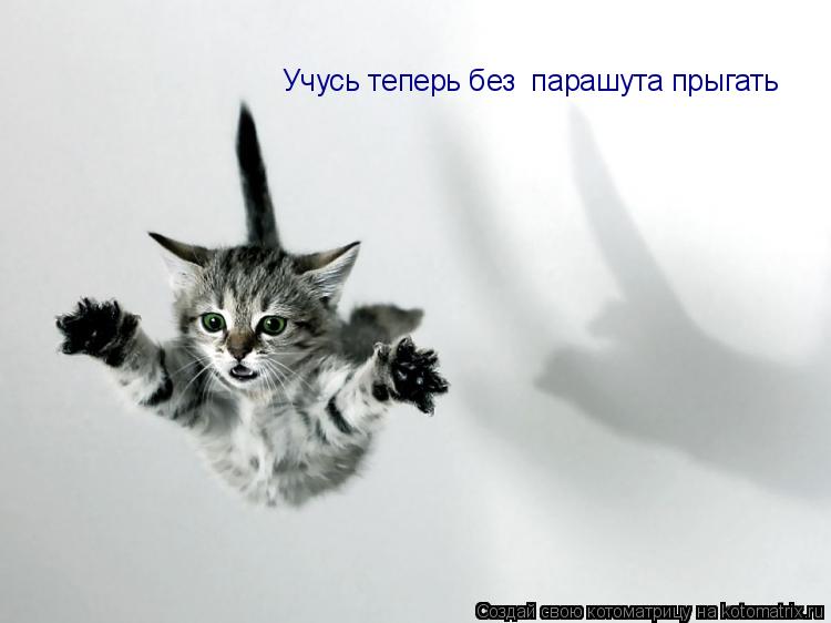 Учусь теперь без парашута прыгать... Котоматрица: Учусь теперь без парашута прыгать