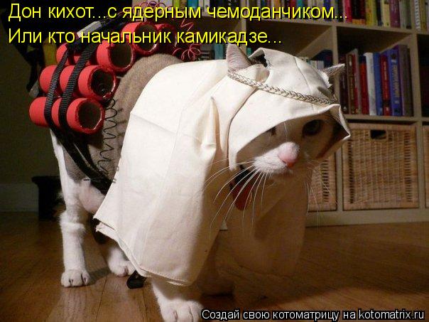 Дон кихот...с ядерным чемоданчиком... Или кто начальник камикадзе...... Котоматрица: Дон кихот...с ядерным чемоданчиком... Или кто начальник камикадзе...