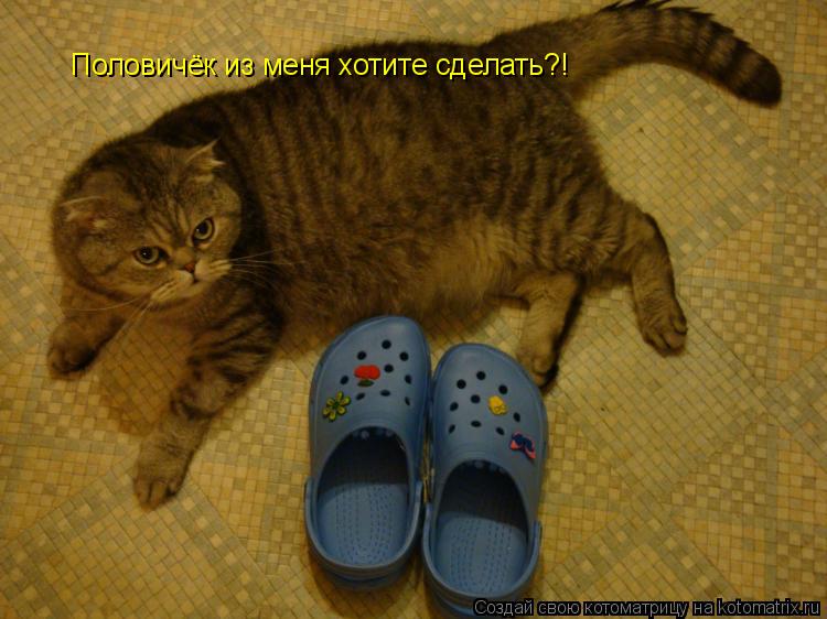 Половичёк из меня хотите сделать?!... Котоматрица: Половичёк из меня хотите сделать?!
