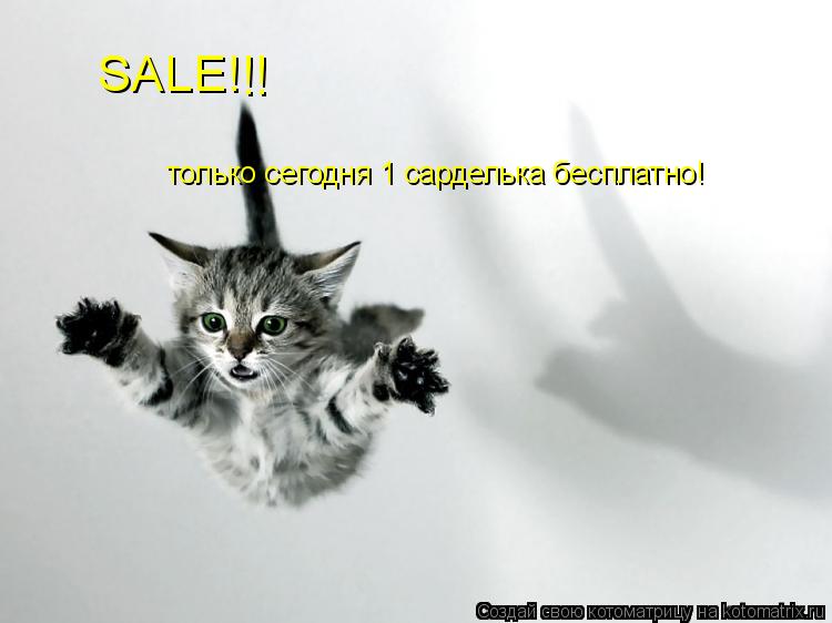 SALE! только сегодня 1 сарделька бесплатно! !!... Котоматрица: SALE! только сегодня 1 сарделька бесплатно! !!