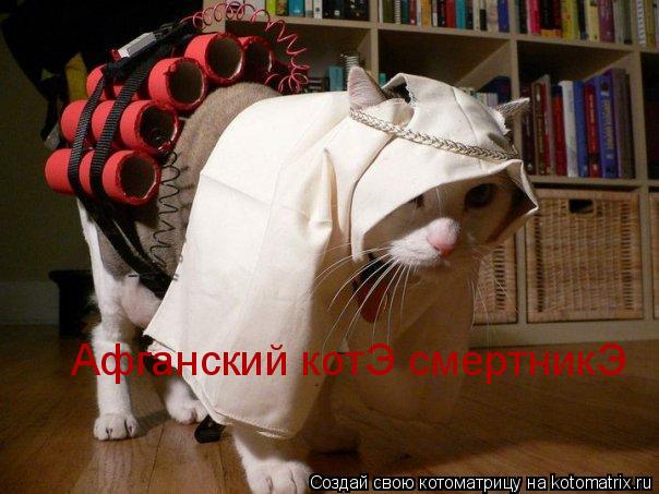 Афганский котЭ смертникЭ... Котоматрица: Афганский котЭ смертникЭ