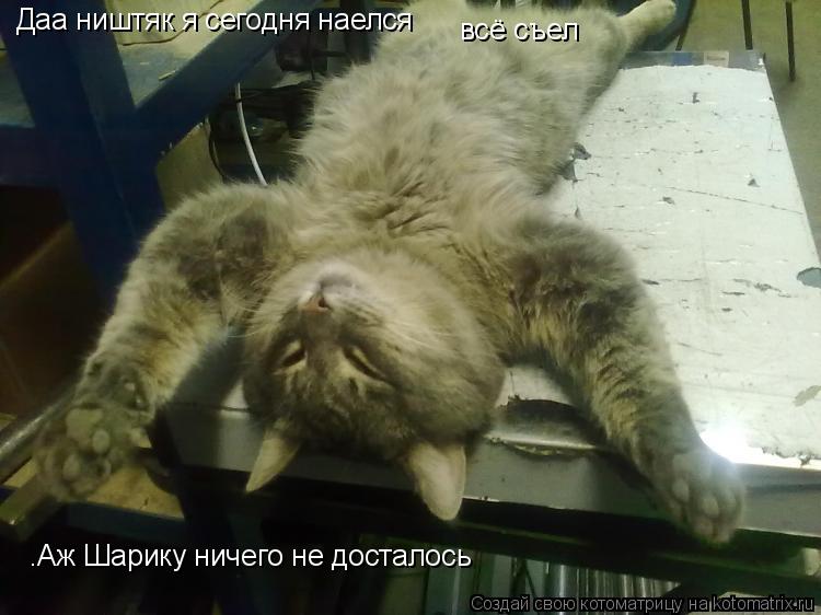 Даа ништяк я сегодня наелся всё съел .Аж Шарику ничего не досталось... Котоматрица: Даа ништяк я сегодня наелся всё съел .Аж Шарику ничего не досталось