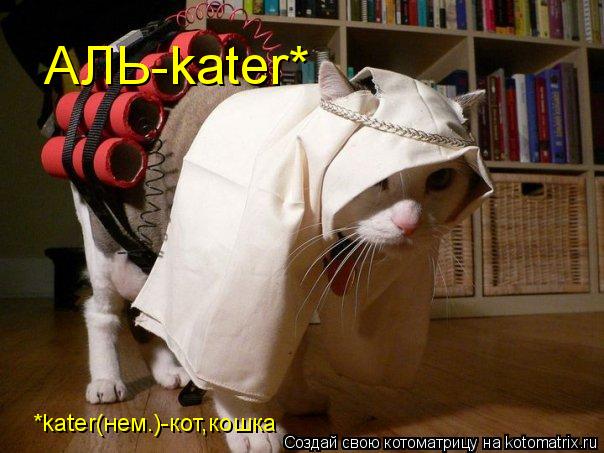 АЛЬ-kater* *kater(нем.)-кот,кошка... Котоматрица: АЛЬ-kater* *kater(нем.)-кот,кошка