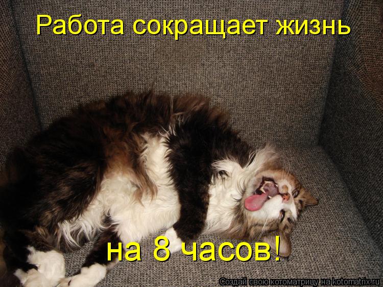 Работа сокращает жизнь на 8 часов!... Котоматрица: Работа сокращает жизнь на 8 часов!