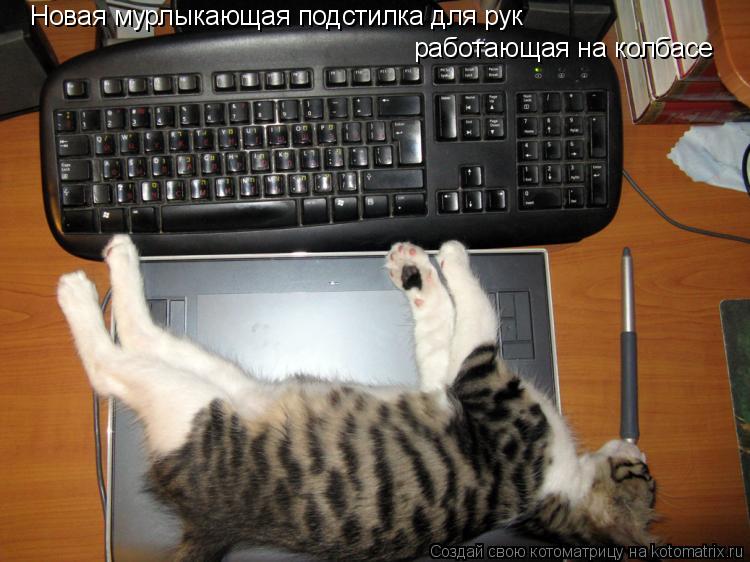 Новая мурлыкающая подстилка для рук работающая на колбасе... Котоматрица: Новая мурлыкающая подстилка для рук работающая на колбасе