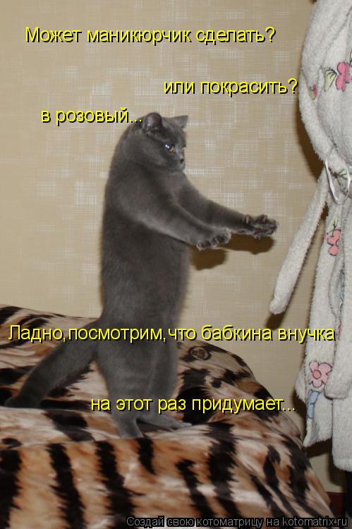 Может маникюрчик сделать? или покрасить? в розовый... Ладно,посмотрим,что бабкина внучка на этот раз ... Котоматрица: Может маникюрчик сделать? или покрасить? в розовый... Ладно,посмотрим,что бабкина внучка на этот раз придумает...