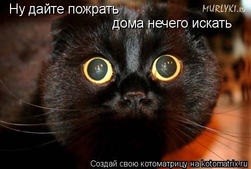 Ну дайте пожрать дома нечего искать... Котоматрица: Ну дайте пожрать дома нечего искать