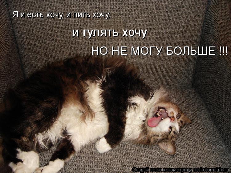 Я и есть хочу, и пить хочу, и гулять хочу НО НЕ МОГУ БОЛЬШЕ !!!... Котоматрица: Я и есть хочу, и пить хочу, и гулять хочу НО НЕ МОГУ БОЛЬШЕ !!!