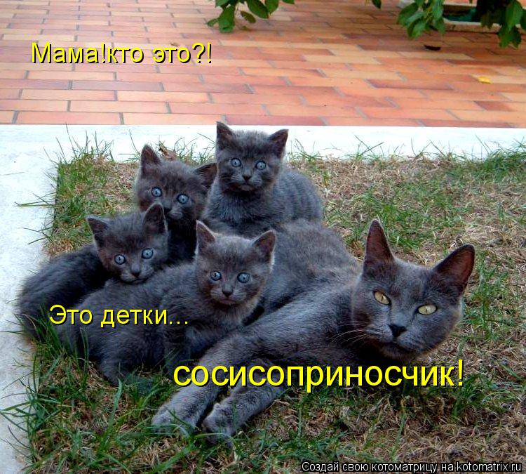 Мама!кто это?! сосисоприносчик! Это детки...... Котоматрица: Мама!кто это?! сосисоприносчик! Это детки...