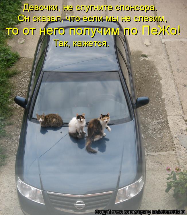 Он сказал, что если мы не слезим, Девочки, не спугните спонсора. то от него получим по ПеЖо! Так, ка... Котоматрица: Он сказал, что если мы не слезим, Девочки, не спугните спонсора. то от него получим по ПеЖо! Так, кажется.