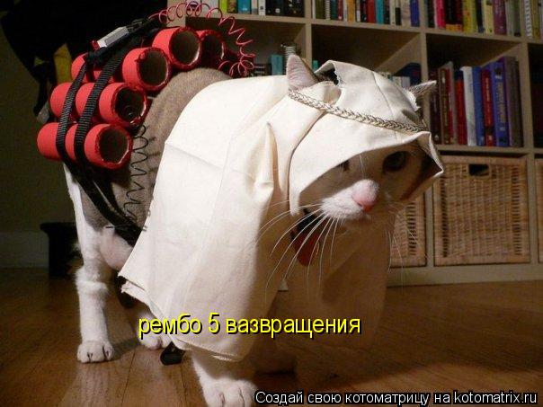 рембо 5 вазвращения... Котоматрица: рембо 5 вазвращения