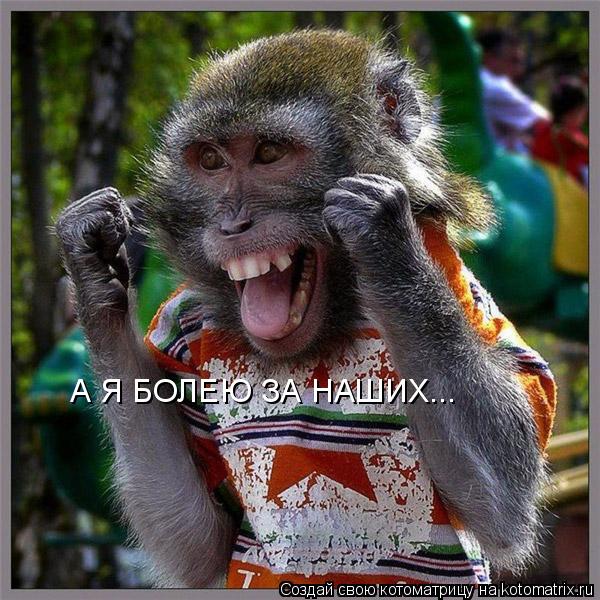 А Я БОЛЕЮ ЗА НАШИХ...... Котоматрица: А Я БОЛЕЮ ЗА НАШИХ...