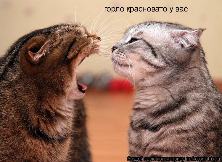 горло красновато у вас... Котоматрица: горло красновато у вас