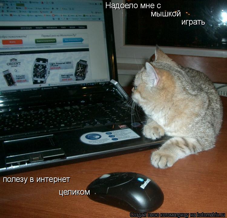 Надоело мне с мышкой играть полезу в интернет целиком... Котоматрица: Надоело мне с мышкой играть полезу в интернет целиком