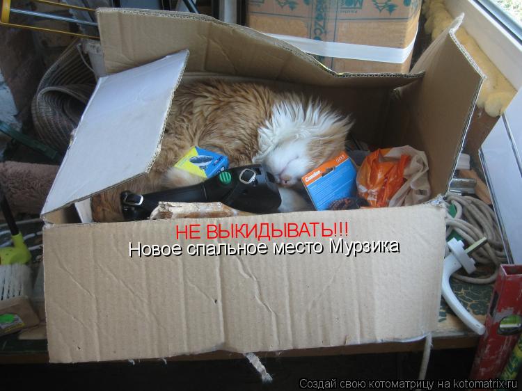 Котоматрица: НЕ ВЫКИДЫВАТЬ!!! Новое спальное место Мурзика