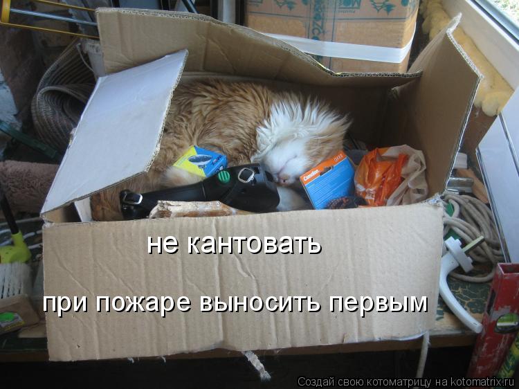 Котоматрица: не кантовать при пожаре выносить первым