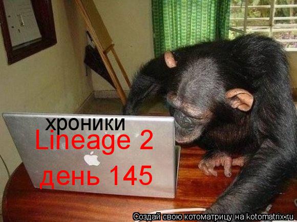 Котоматрица: Lineage 2 день 145 хроники