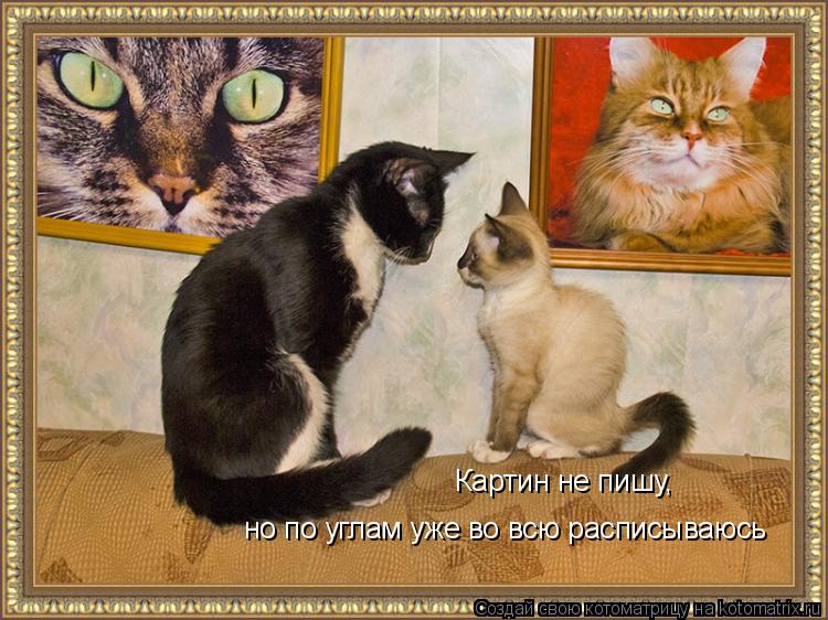 Котоматрица: Картин не пишу,  но по углам уже во всю расписываюсь