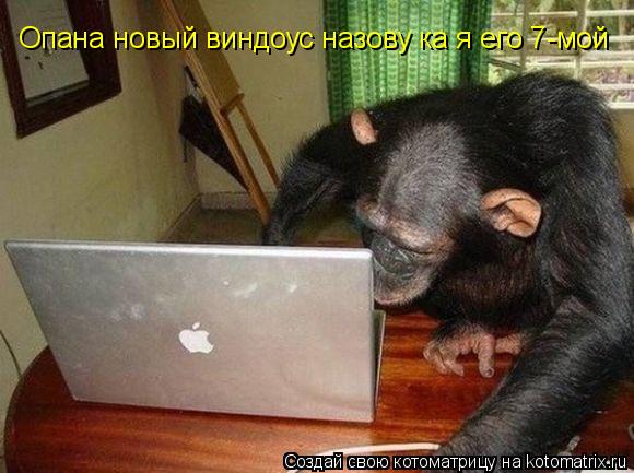 Котоматрица: Опана новый виндоус назову ка я его 7-мой