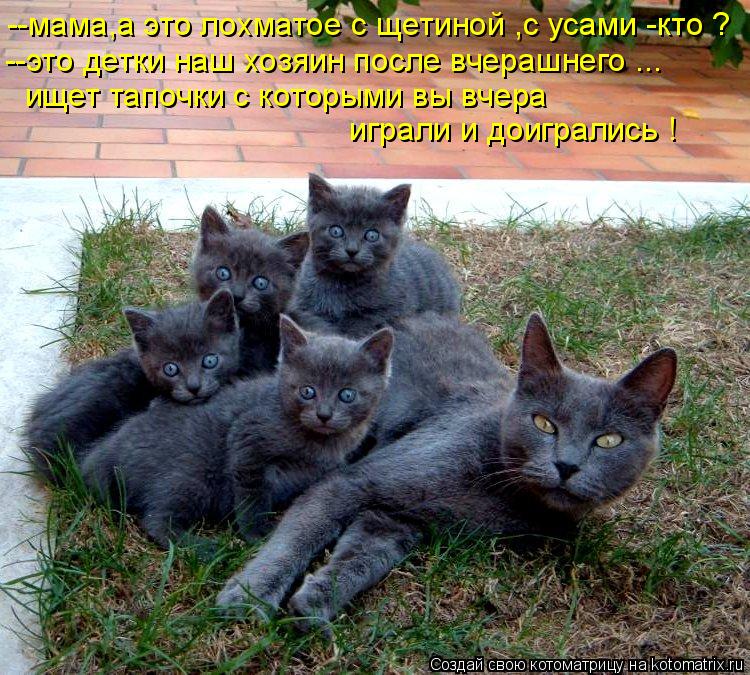 --мама,а это лохматое с щетиной ,с усами -кто ? --это детки наш хозяин после вчерашнего ... ищет тапо... Котоматрица: --мама,а это лохматое с щетиной ,с усами -кто ? --это детки наш хозяин после вчерашнего ... ищет тапочки с которыми вы вчера играли и доигрались