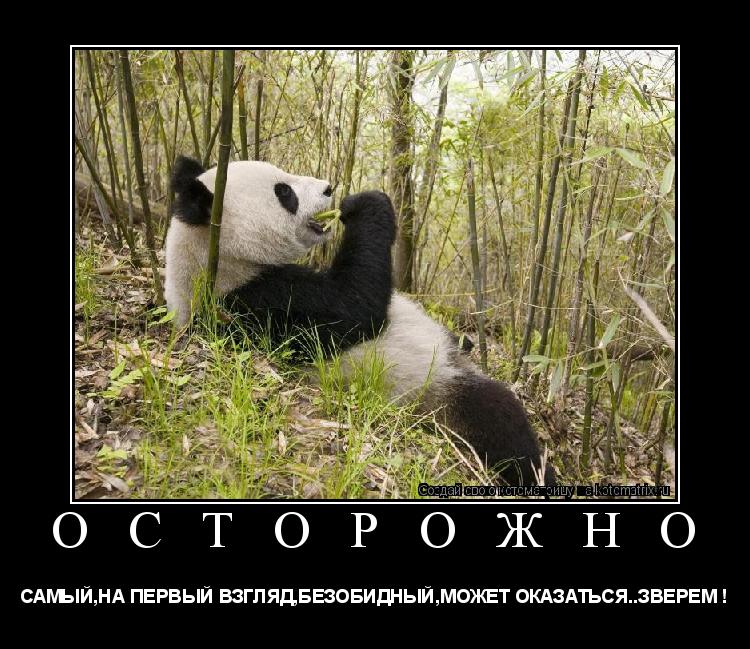О С Т О Р О Ж Н О САМЫЙ,НА ПЕРВЫЙ ВЗГЛЯД,БЕЗОБИДНЫЙ,МОЖЕТ ОКАЗАТЬСЯ..ЗВЕРЕМ !... Котоматрица: О С Т О Р О Ж Н О САМЫЙ,НА ПЕРВЫЙ ВЗГЛЯД,БЕЗОБИДНЫЙ,МОЖЕТ ОКАЗАТЬСЯ..ЗВЕРЕМ !