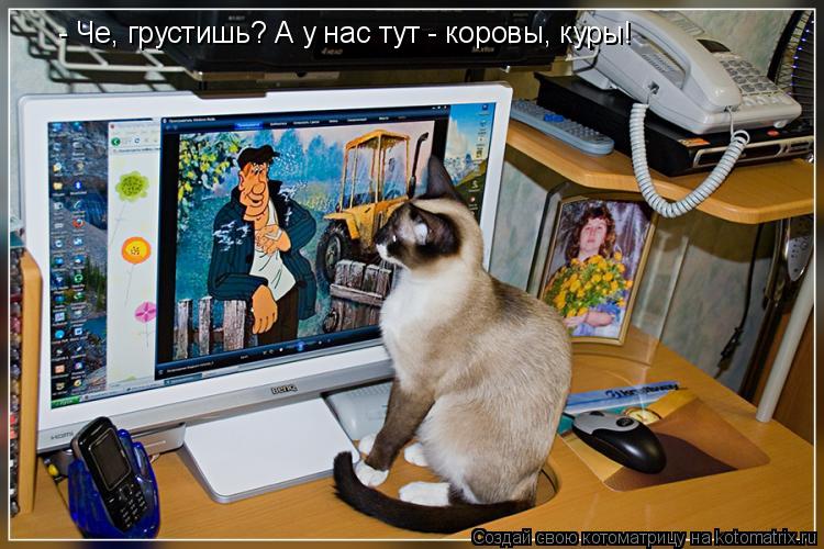 Котоматрица: - Че, грустишь? А у нас тут - коровы, куры!