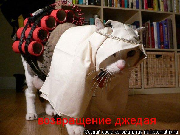 Котоматрица: возвращение джедая